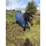 Cool Heat Horse Rug